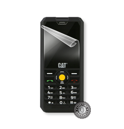 CAT B30 display