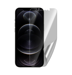 iPhone 12 Pro Max display