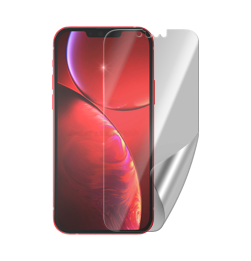 iPhone 13 Pro Max display